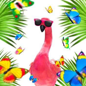 summer paradise vacation surfer flamingo  with surfboard and sunglasses isolated on white background, butterflies and palms