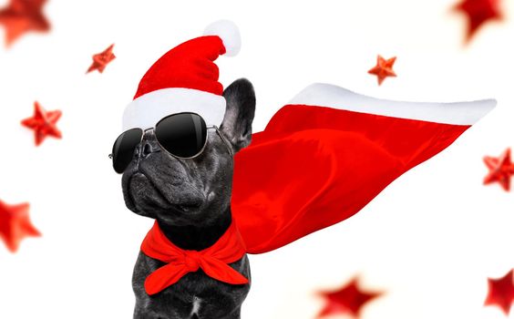 christmas santa claus french bulldog dog as a holiday season surprise out of a gift or present box  with red hat , isolated on white background with stars falling and noel hand