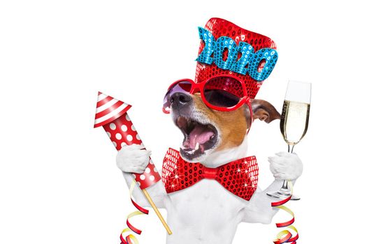 dog celebrating new years eve with champagne isolated on white background beside a banner or placard, peace and victory fingers