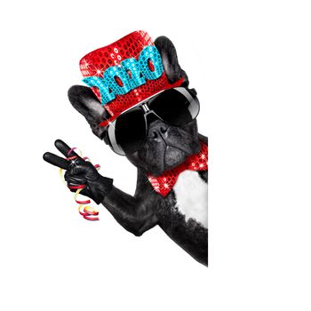 dog celebrating new years eve with champagne isolated on white background beside a banner or placard, peace and victory fingers