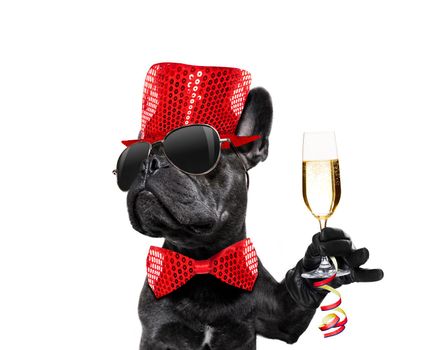 dog celebrating new years eve with champagne isolated on white background beside a banner or placard, peace and victory fingers