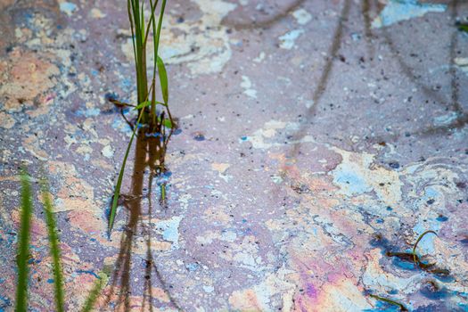 Polluted water waste close up, save earth concept, people destroying mother nature.