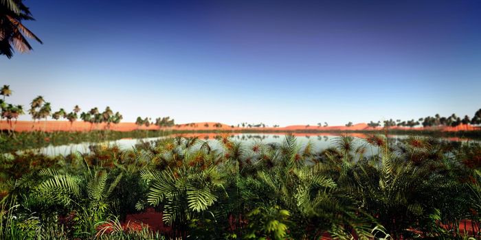 oasis panoramic in desert, 3d render illustration