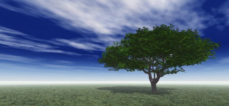 tree in green meadow, 3d render illustration