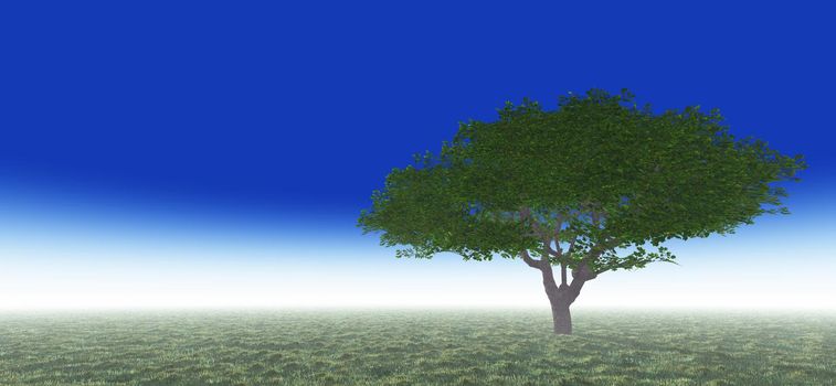 tree in green meadow, 3d render illustration