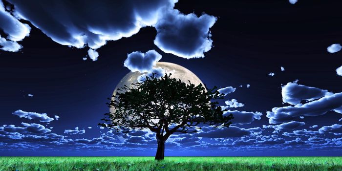 tree night full moon, 3d render illustration