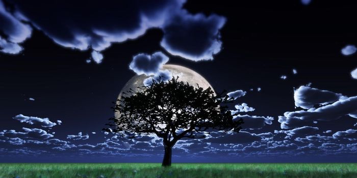 tree night full moon, 3d render illustration