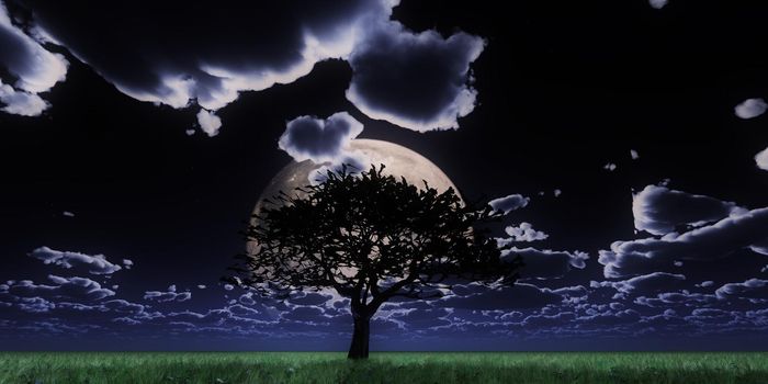 tree night full moon, 3d render illustration