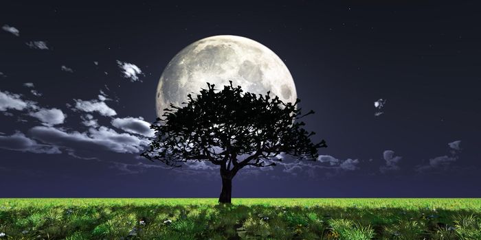 tree night full moon, 3d render illustration