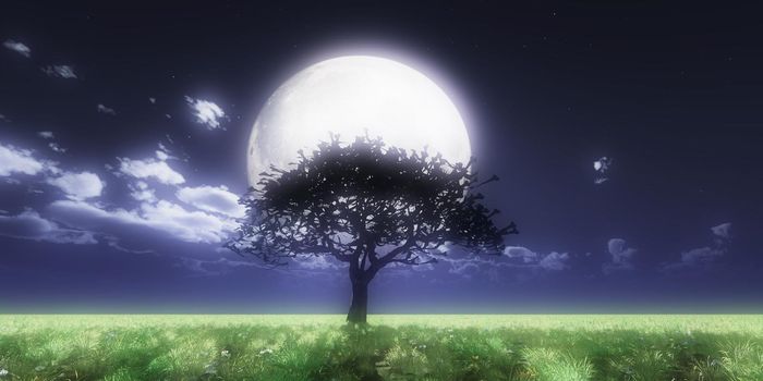 tree night full moon, 3d render illustration