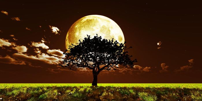 tree night full moon, 3d render illustration