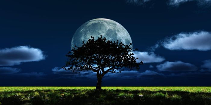 tree night full moon, 3d render illustration