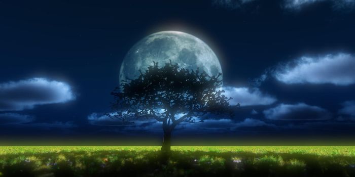 tree night full moon, 3d render illustration