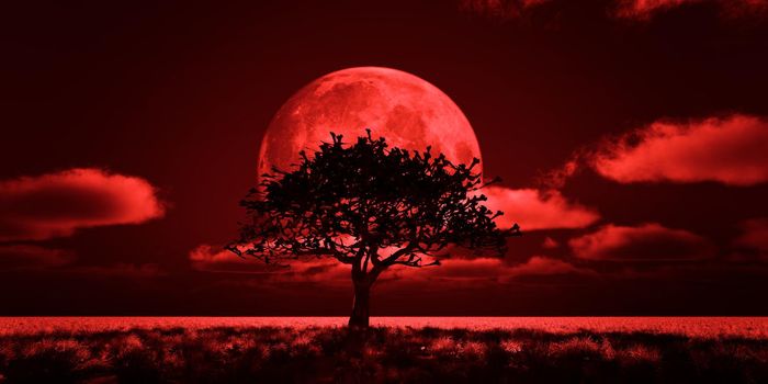 tree night full moon, 3d render illustration