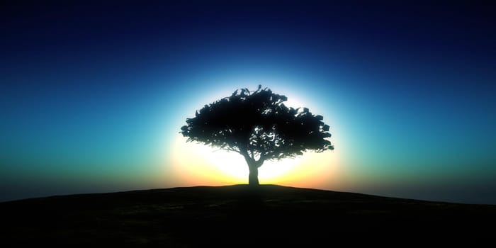 tree on the filed sunset sky, 3d render illustration