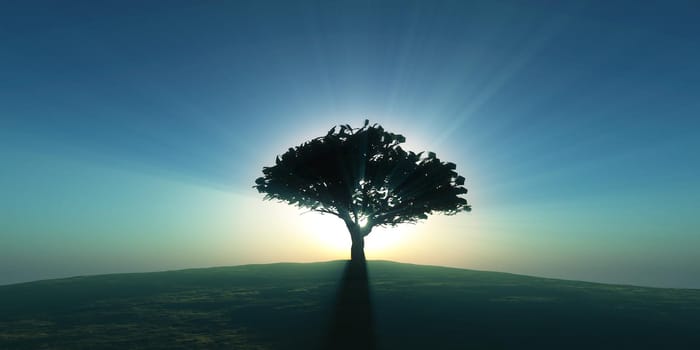 tree on the filed sunset sky, 3d render illustration