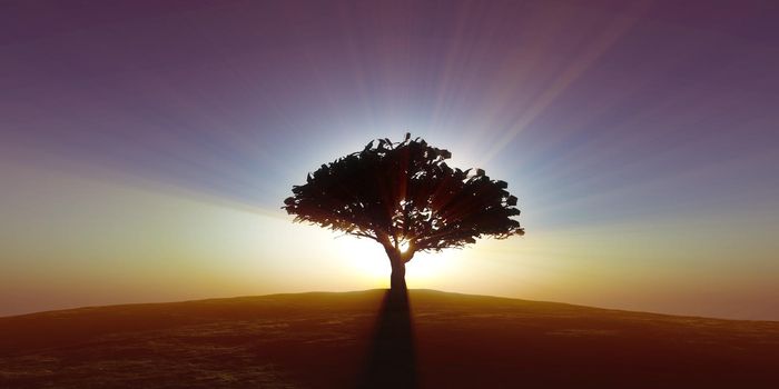 tree on the filed sunset sky, 3d render illustration