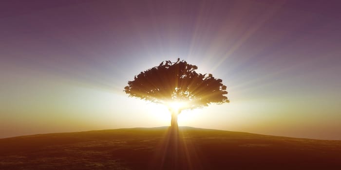 tree on the filed sunset sky, 3d render illustration