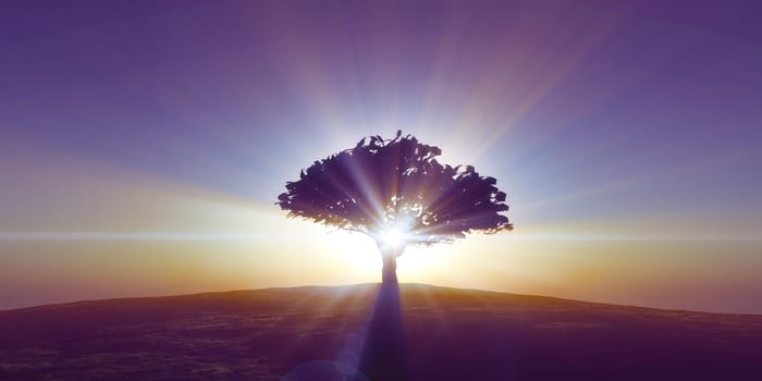 tree on the filed sunset sky, 3d render illustration