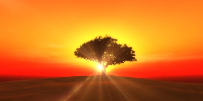 tree on the filed sunset sky, 3d render illustration