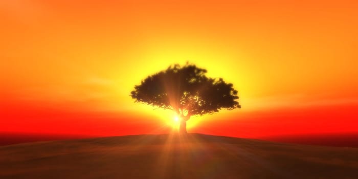 tree on the filed sunset sky, 3d render illustration