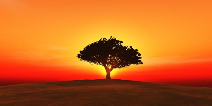 tree on the filed sunset sky, 3d render illustration