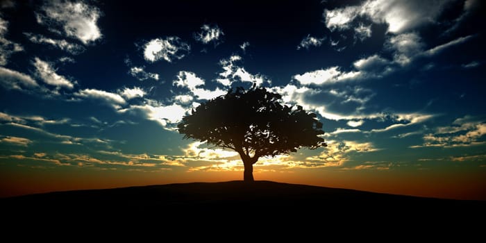 tree on the filed sunset sky, 3d render illustration