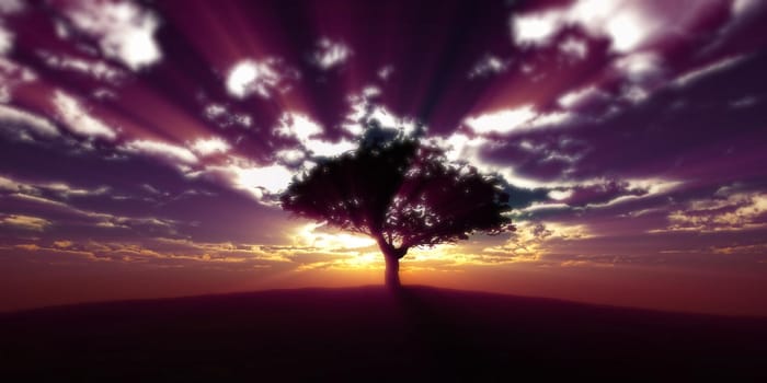 tree on the filed sunset sky, 3d render illustration