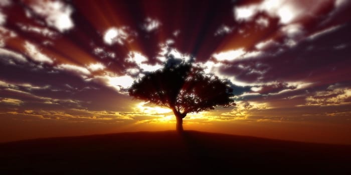 tree on the filed sunset sky, 3d render illustration