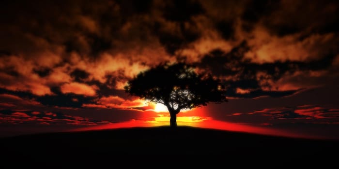 tree on the filed sunset sky, 3d render illustration