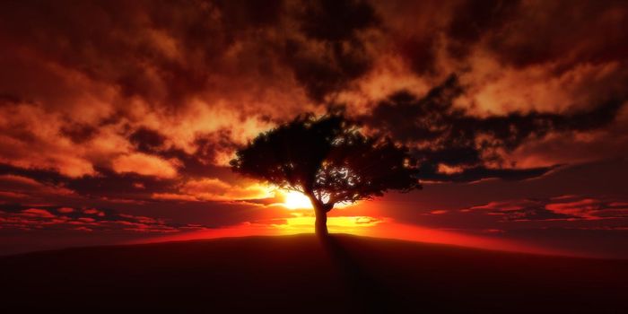 tree on the filed sunset sky, 3d render illustration