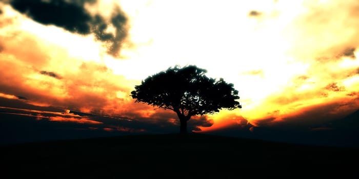 tree on the filed sunset sky, 3d render illustration