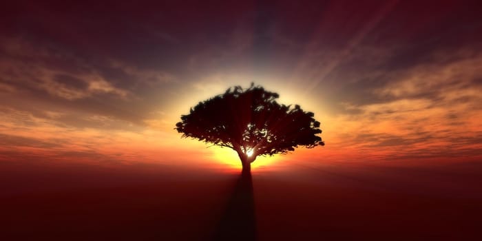 tree on the filed sunset sky, 3d render illustration