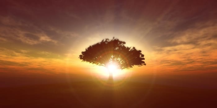 tree on the filed sunset sky, 3d render illustration