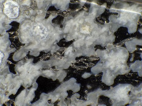 snowflake obsidian in a macro shot