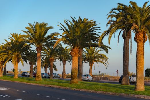 Morro Jable, Fuerteventura, Spain: 2020 October 08: Park in the time of COVID 19 Morro Jable on the Island of Fuerteventura in Spain in the summer of 2020.