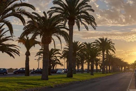Morro Jable, Fuerteventura, Spain: 2020 October 08: Park in the time of COVID 19 Morro Jable on the Island of Fuerteventura in Spain in the summer of 2020.
