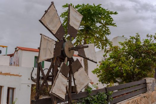 Betancuria, Fuerteventura, Spain : 2020 October 6 :  Willmild in Bentancuria on the island of Fuerteventura in Spain in summer.