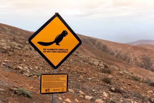 Betancuria, Fuerteventura, Spain : 2020 October 6 :  Sign not to feed the squirrels at the Mirador del Valle in Bentancuria on the island of Fuerteventura in Spain in summer.
