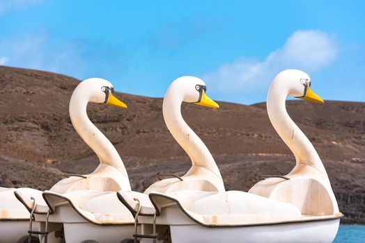 Duck-shaped boats on the beach of Pozo Negro on the island of Fuerteventura, Spain.