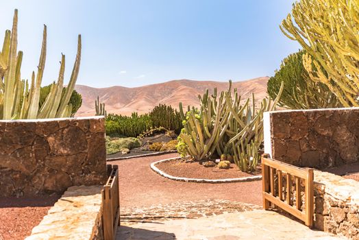 Antigua, Spain – October 4, 2020: Traditional building converted into a Majorero cheese museum, in Antigua in the inner part of Fuerteventura Island.