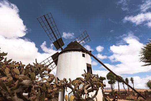Windmills on the island of Fuerteventura in Spain.