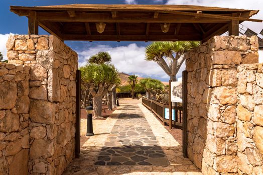 Antigua, Spain – October 4, 2020: Traditional building converted into a Majorero cheese museum, in Antigua in the inner part of Fuerteventura Island.