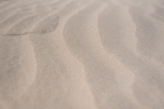 Dunes on the Fuerteventura Nature Trail GR 131 from Corralejo to Morro Jable in summer 2020.