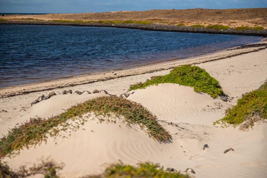 Dunes on the Fuerteventura Nature Trail GR 131 from Corralejo to Morro Jable in summer 2020.