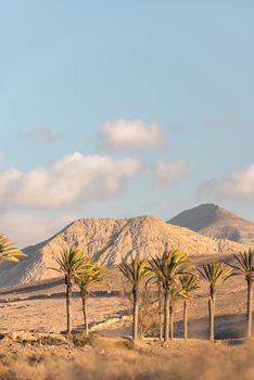 Los Molinos beach in Fuerteventura, Canary Islands in summer 2020.