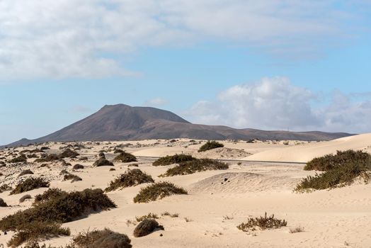 Dunas de Corralejo Natural Park in Fuerteventura, Spain in the fall of 2020.