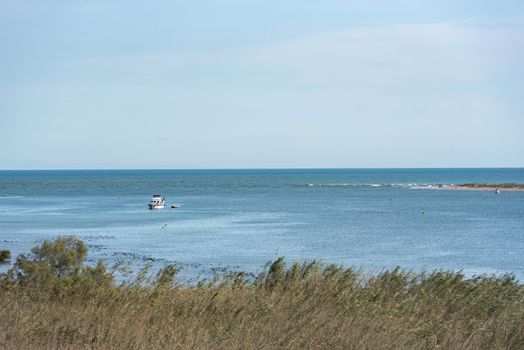 Ebro Delta, Spain: 2020 September: Boat Tour on the Ebro River in summer in the port.