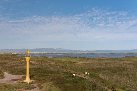 Ebro Delta, Spain: 2020 September: Boat Tour on the Ebro River in summer in the port.