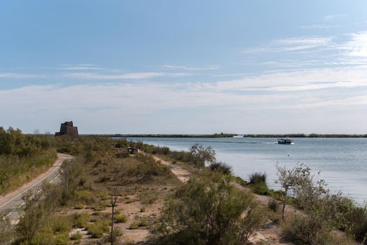 Boat Tour on the Ebro River in summer in the port.
